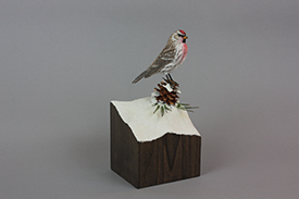 Common Redpoll