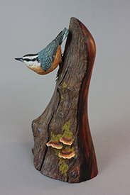 Red Breasted Nuthatch