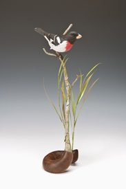 Rose-Breasted Grosbeak