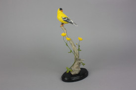 American Goldfinch