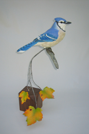 Blue Jay