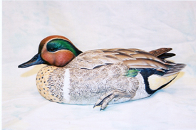 Green-Winged Teal