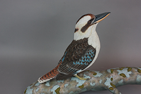 Laughing Kookaburra