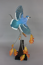 Blue Jay