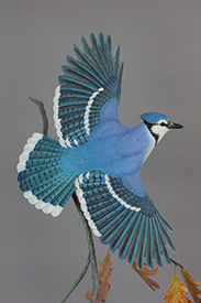 Blue Jay