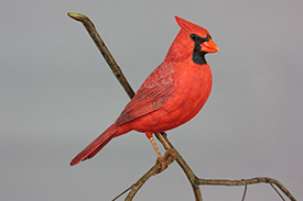 Northern Cardinals