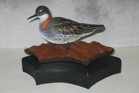 Red-Necked Phalarope