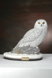 Snowy Owl