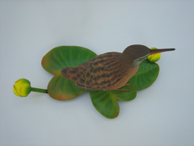 Virginia Rail