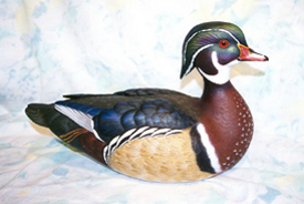 Wood Duck