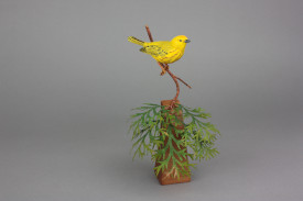 Yellow Warbler