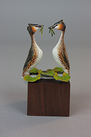 Great Crested Grebes