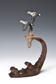 King Eiders
