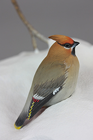 Bohemian Waxwings